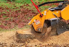 Best Leaf Removal  in , WV